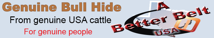 A Better Belt USA